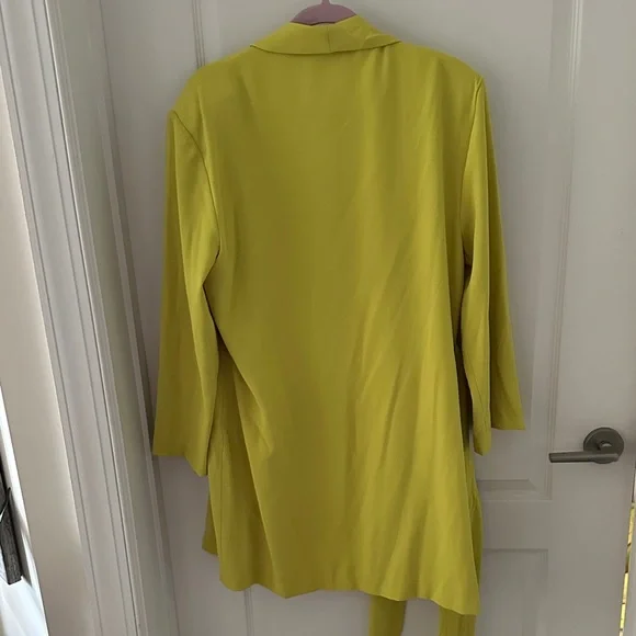 Zara Lime Tie-Front blazer dress - Picture 5 of 5